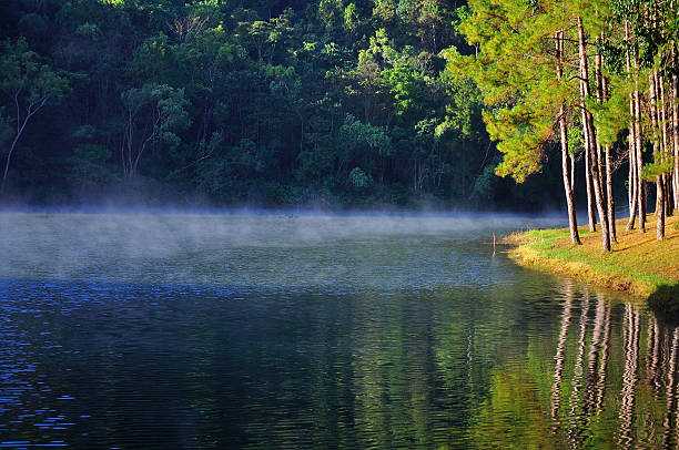 istock lake with fog 176650970