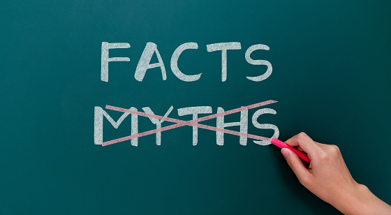 Hand drawing facts and myths on blackboard