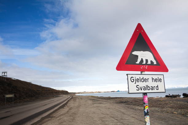 istock A sign in Svalbard area 1766550219