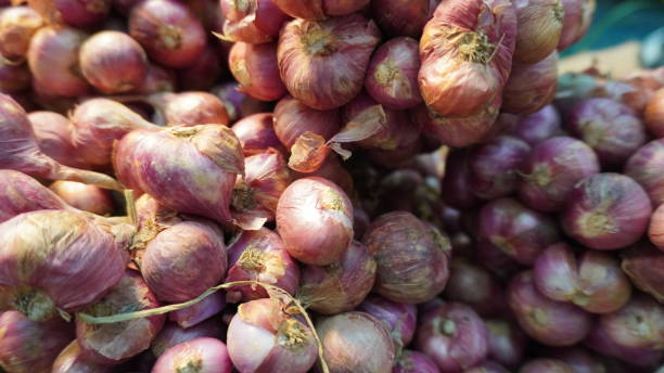 istock bundle of shallots background, use in asian cooking savory dishes in enhanced taste 1766563254