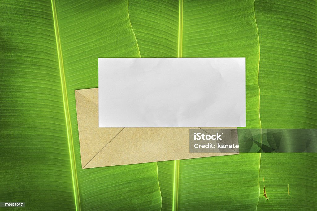 Envelope com livro em branco sobre Fundo de folha de bananeira - Foto de stock de Aberto royalty-free