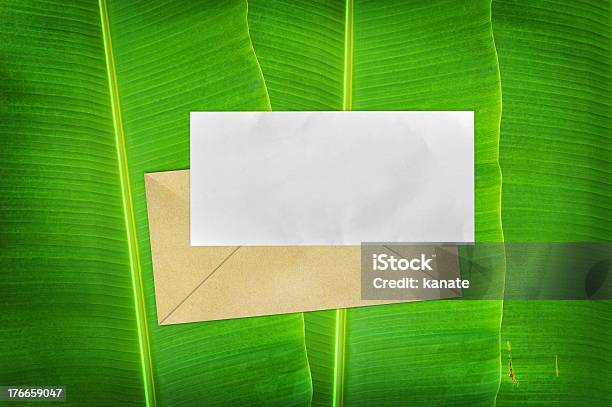 Foto de Envelope Com Livro Em Branco Sobre Fundo De Folha De Bananeira e mais fotos de stock de Aberto