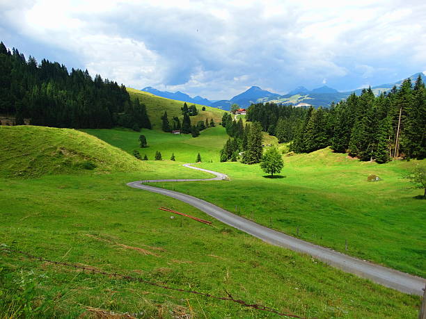 Austria  wander road in the alp- view over meadow wander road in the alp silbertal stock pictures, royalty-free photos & images