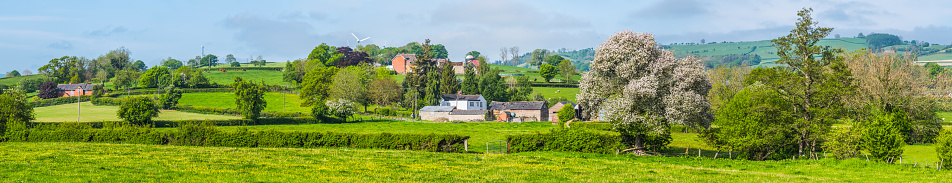 Blue skies over vibrant green pasture, farmland, fields and hedgerows in a picturesque rural panorama.