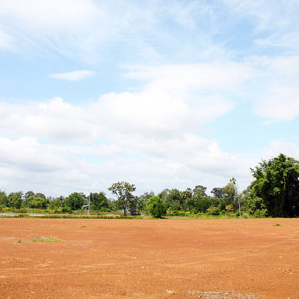 istock Landscape of Bare Earth and tree 176661690