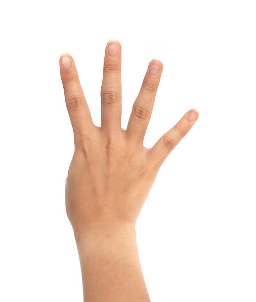 istock women hand sign. 176661710
