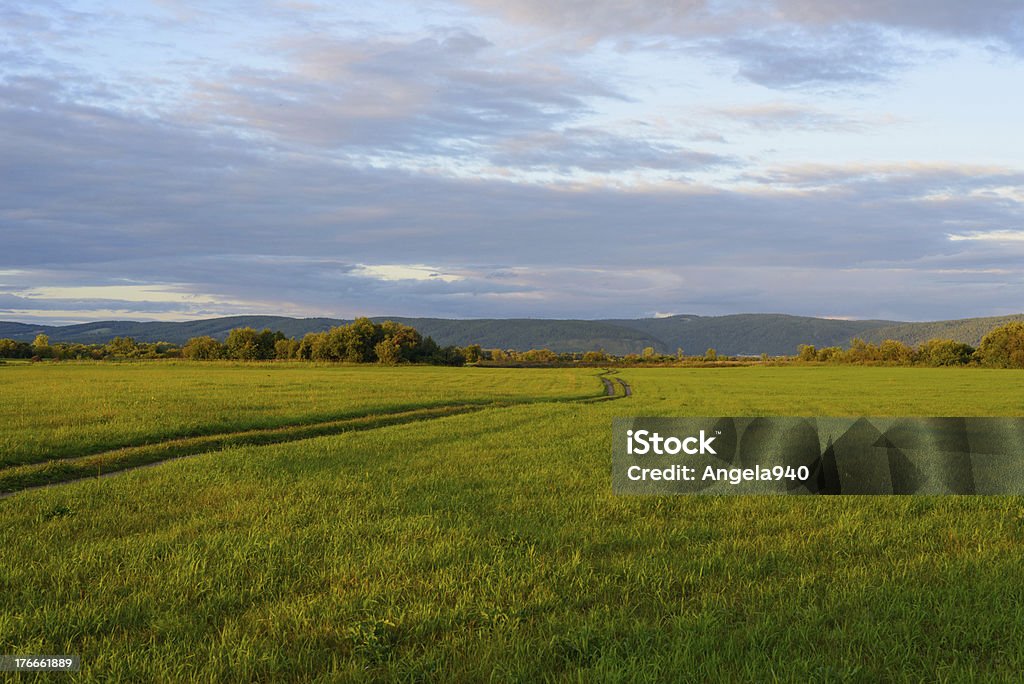 Paisaje Rural - Foto de stock de Agricultura libre de derechos