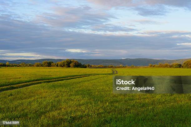 Paisaje Rural Foto de stock y más banco de imágenes de Agricultura - Agricultura, Aire libre, Arbusto