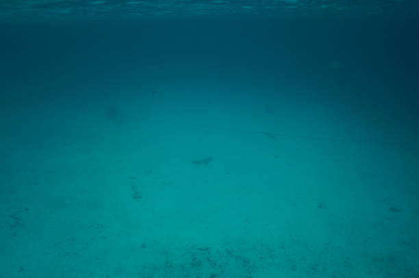 istock Clear Carribean Sea 1766634826