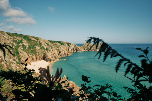 Views through wild plants and ferns to the sea and Pedn Vounder beach, South Cornwall on a sunny June afternoon.