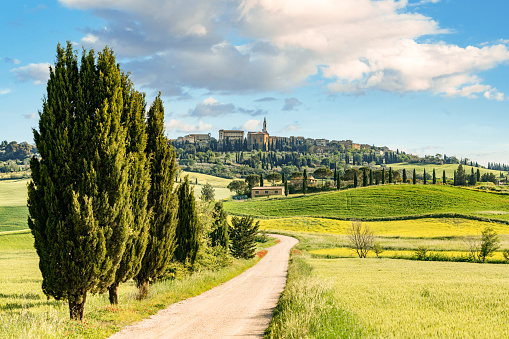 Tuscany landscape. The beautiful little town Pienza in the background. Italy