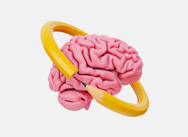 istock Human brain with yellow pencil surrounding it 1766658571