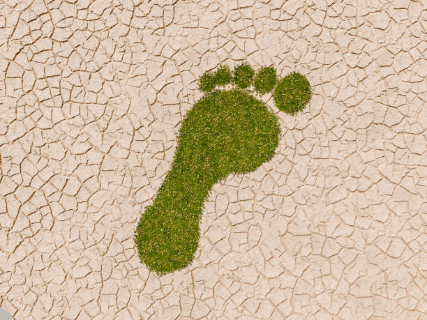 istock green Footprint on cracked earth background 1766658588