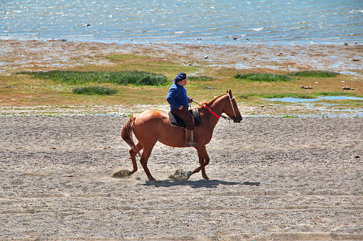El Calafate, Patagonia, Argentina - 13 Dec 2019. Rider, Ranger in Laguna Nimez Reserva in El Calafate, Argentina
