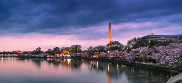 istock Stunning view of the Washington Monument illuminated by the setting sun 1766672887