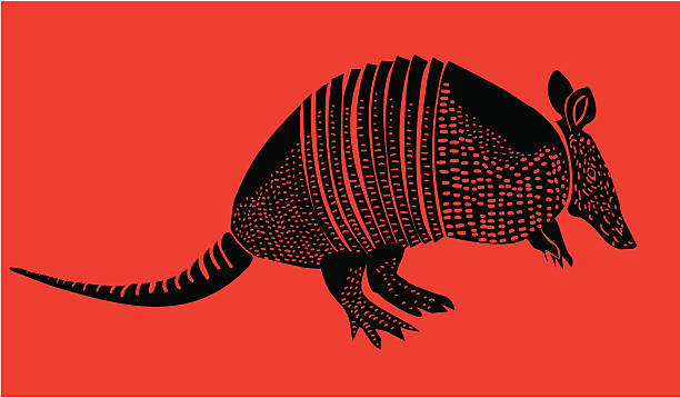 Vector silhouette of an armadillo isolated in red Vector illustration of armadillo  armadillo stock illustrations
