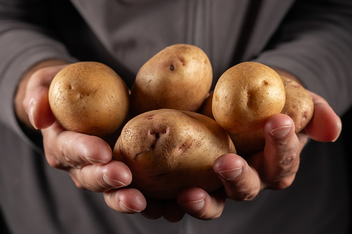 fresh potatoes in male hands close up.