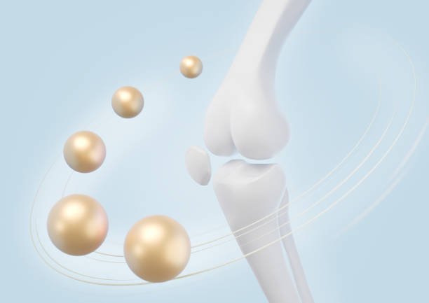 istock healthy bone human with Foods vitamin. 1766727952