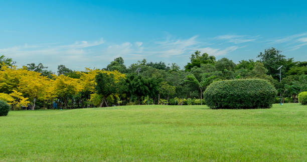 istock Beautiful grass field and tree with blue sky. Countryside landscape view background 1766730716