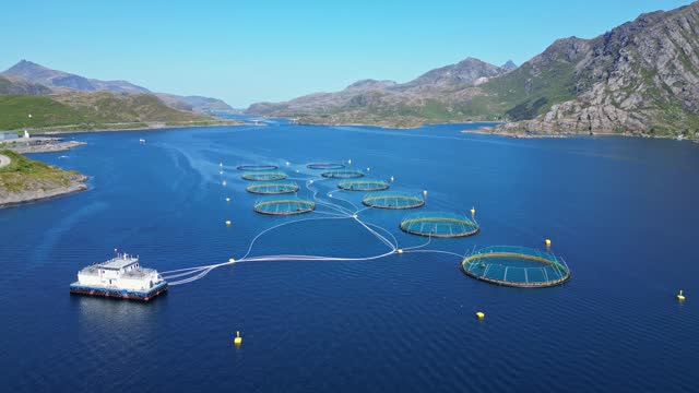 Norwegian aquaculture salmon fish farm