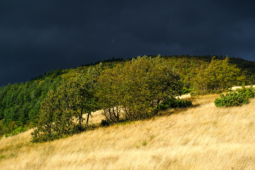 Mountain meadow in autumn with a storm approaching