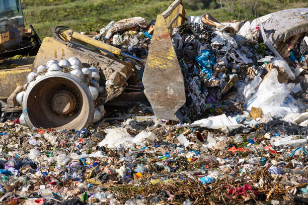 istock Heavy machinery shredding garbage in an open air landfill. Pollution 1766785100