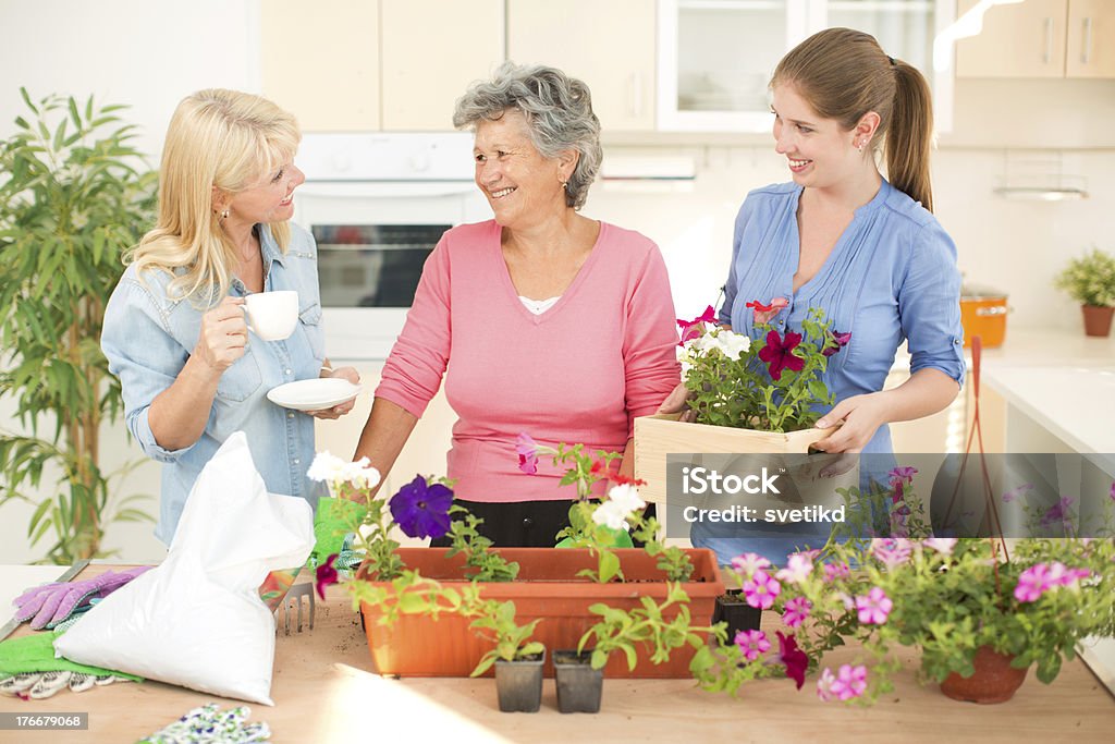 Tres generaciones de mujeres. - Foto de stock de 20 a 29 años libre de derechos