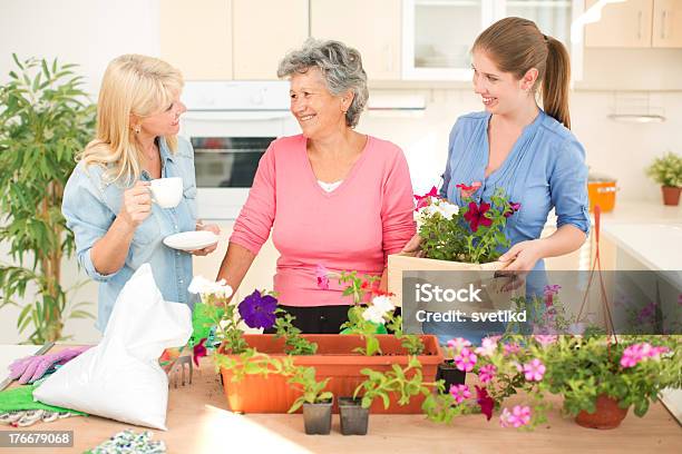 Tres Generaciones De Mujeres Foto de stock y más banco de imágenes de 20 a 29 años - 20 a 29 años, 50-59 años, 70-79 años