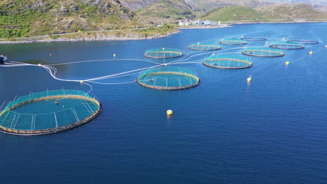 Flight over salmon fish farm in a fjord in Norway