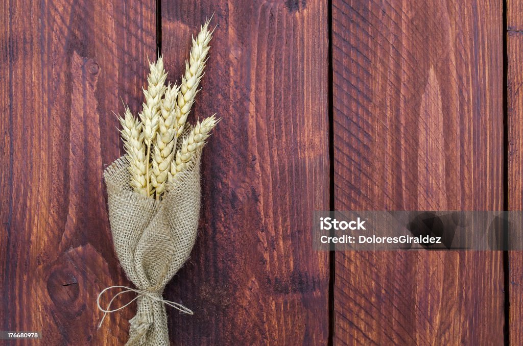 Vástagos de trigo - Foto de stock de Agricultura libre de derechos