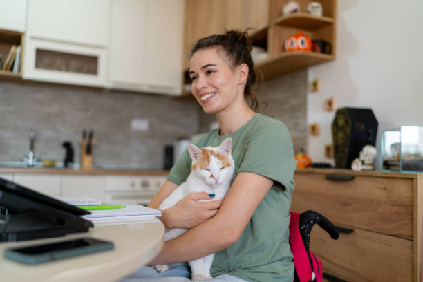 istock Happy disabled woman enjoying with her cat while e-learning over laptop at home. 1766813042