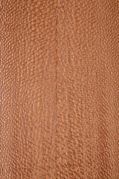 istock Wood texture - LAURO FAIA VENEER 176681521