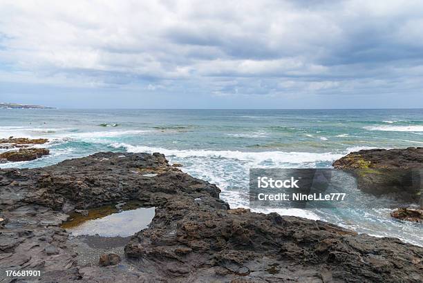 Coast Of Punta Del Hidalgo Tenerife Spain Stock Photo - Download Image Now - Algae, Archipelago, Atlantic Ocean