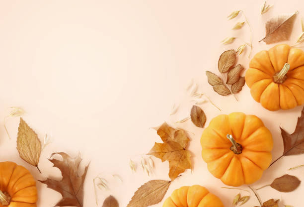 istock Autumn pumkins and colorful leaves composition, fall leaf frame, Thanksgiving festive background 1766819234