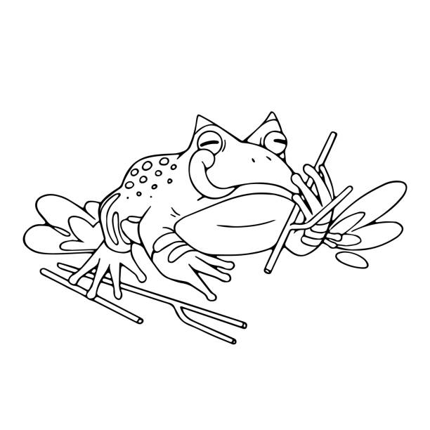 10+ Horned Toad Cartoon Stock Photos, Pictures & Royalty-Free Images