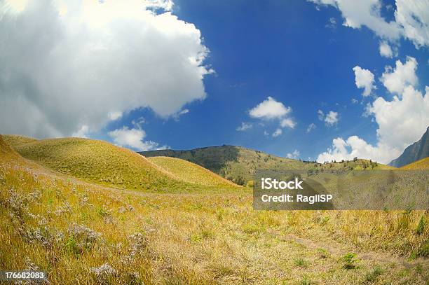 Amarillo Paisaje De Las Praderas Bajo Cielo Azul Brillante Foto de stock y más banco de imágenes de Aire libre