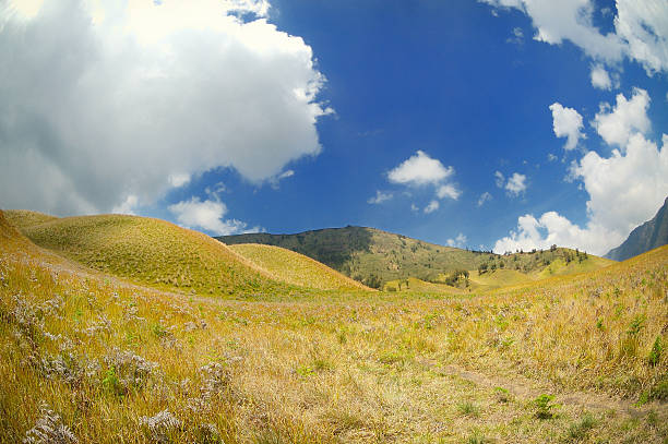 Taken at Bromo Tengger, east Java, Indonesia