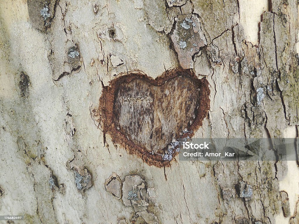Heart Heart carved in tree bark texture Plant Bark Stock Photo