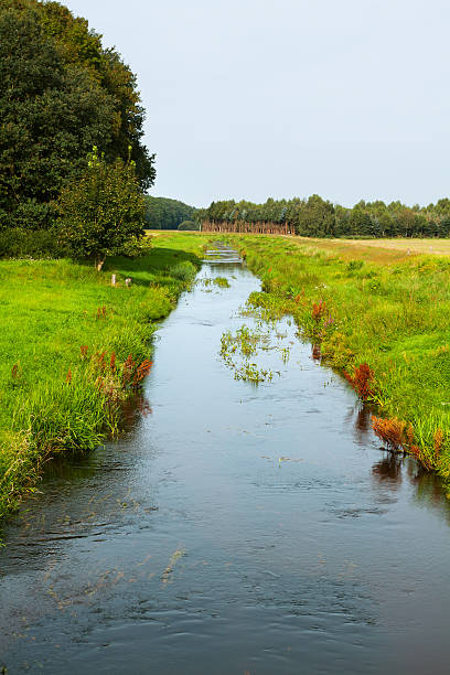 istock Rivulet in Luneburg Heath 176683487
