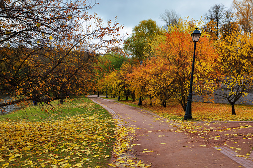 Autumn colours in Avenham and Miller Park in Preston, Lancashire