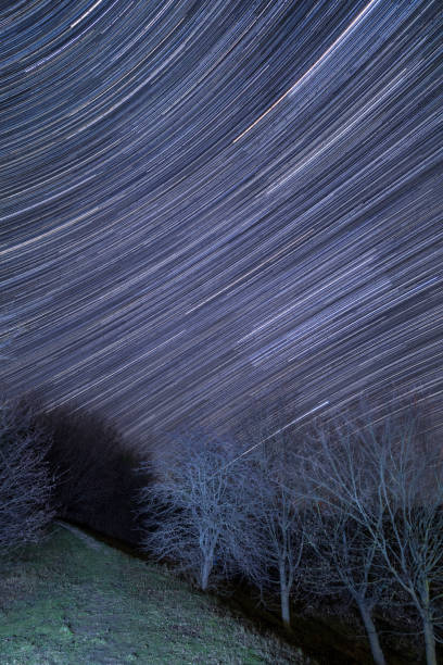 rastro de estrellas con árboles - star trail clear sky tranquil scene circle fotografías e imágenes de stock