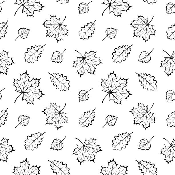 Seamless pattern with falling leaves, autumn background Seamless pattern with falling leaves of birch, maple and oak, autumn seasonal background for your design in black and white silhouette of a fall leaves black and white stock illustrations
