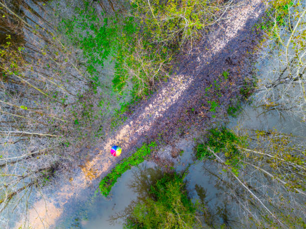 istock A person with a rainbow umbrella on a dirt path on a rainy day. 1766873922