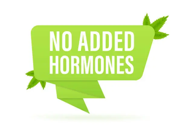 Vector illustration of No Added Hormones label. Hormone free icon. Natural, organic, certificated product sign. Healthy food. Banner made of green origami paper with leaves. Vector illustration