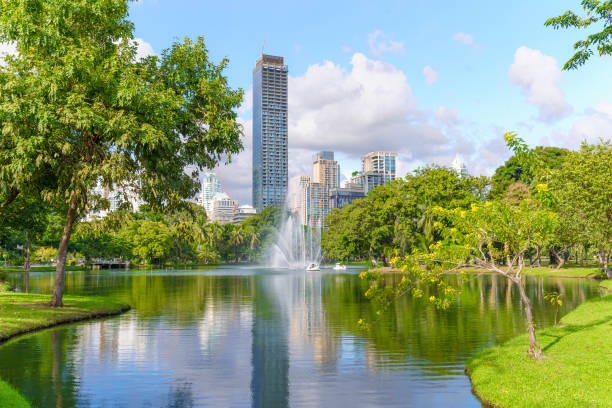 istock Lumphini park in Bangkok, Thailand 1766897302