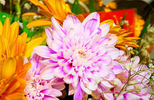 istock Colorful flowers bouquet 176689772