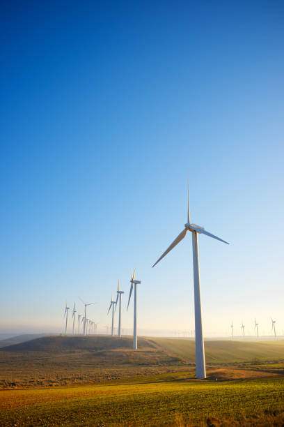 Wind turbine generators for renewable electricity production