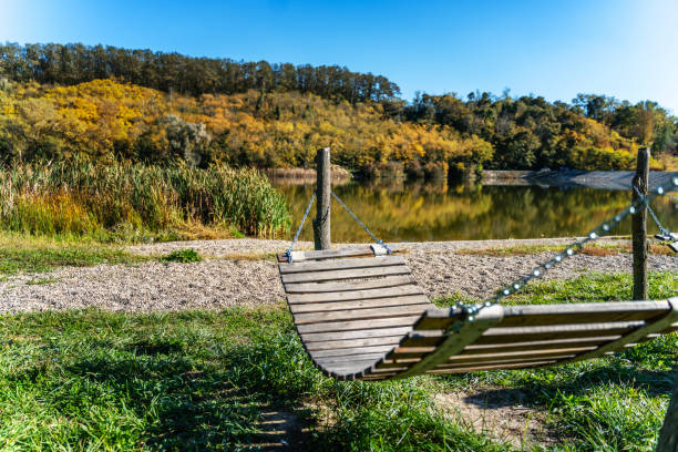 hamac en bois dans un parc public d’automne au bord d’un étang - bench forest pond autumn photos et images de collection