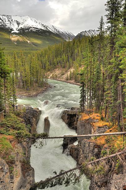 istock beautiful river in foret of the alberta rockies with mountain 176693473