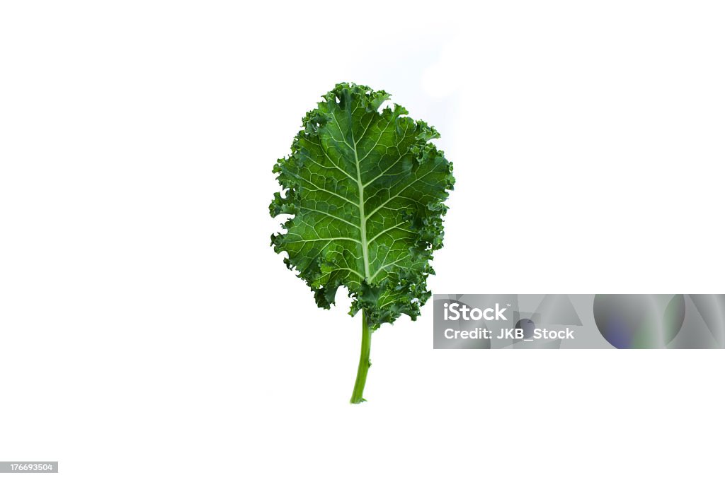 A fresh leaf of green kale on white background Single leaf of organic green kale on white background Kale Stock Photo